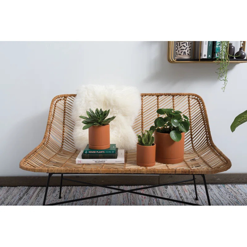 Carlotta Ceramic Pot Planter