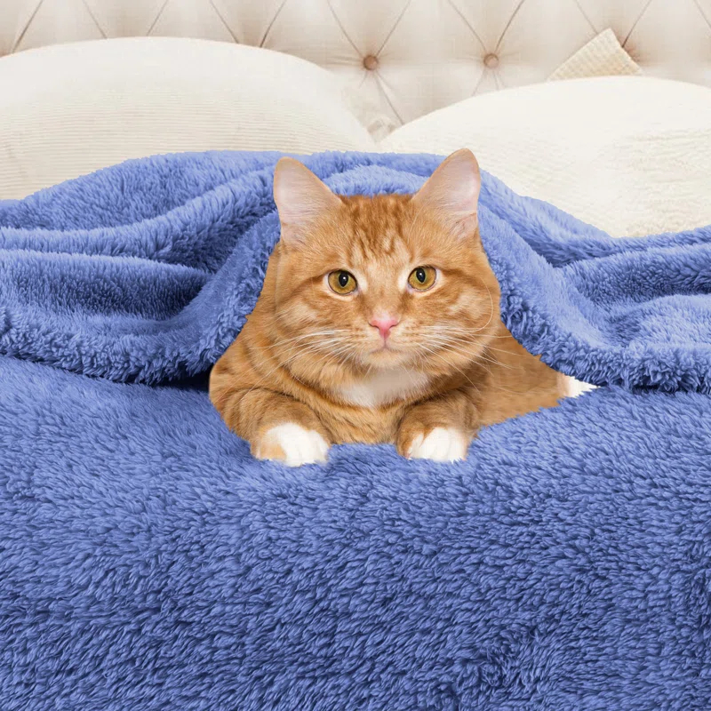 Superior Solid Polyester Reversible All-Season Fleece Throws Blanket