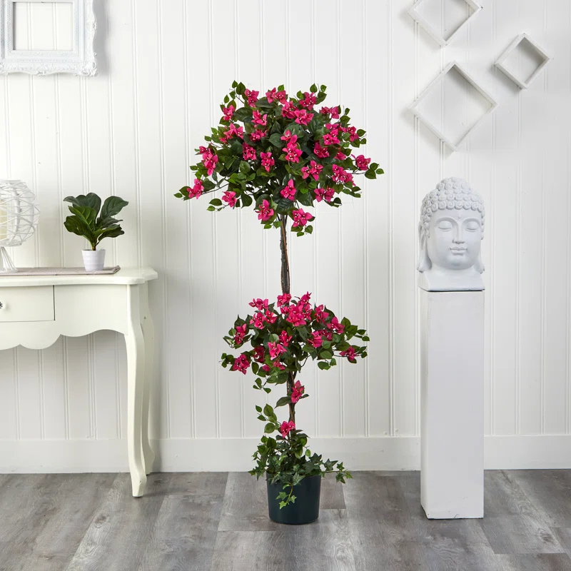 Primrue 5ft. Mini Bougainvillea Topiary