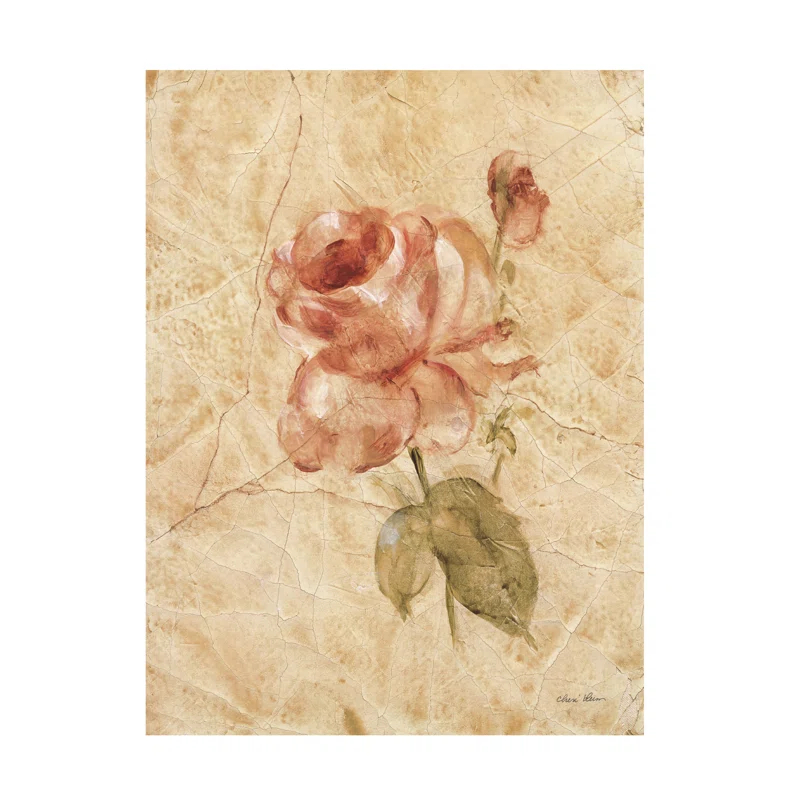 Trademark Fine Art Cheri Blum Rose On Cracked Linen Canvas Art
