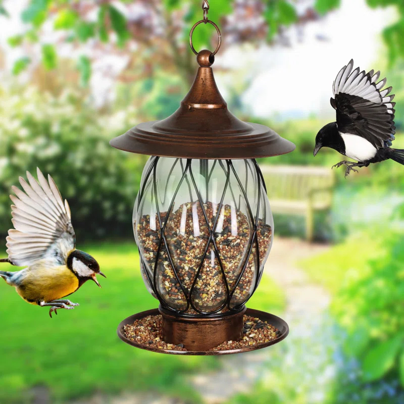 Exhart Exhart Solar Bird Feeder, 8.66 by 14.96 Inches