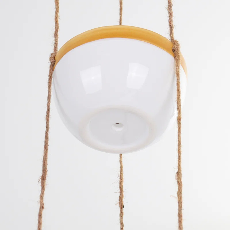 Belari Ceramic Hanging Planter