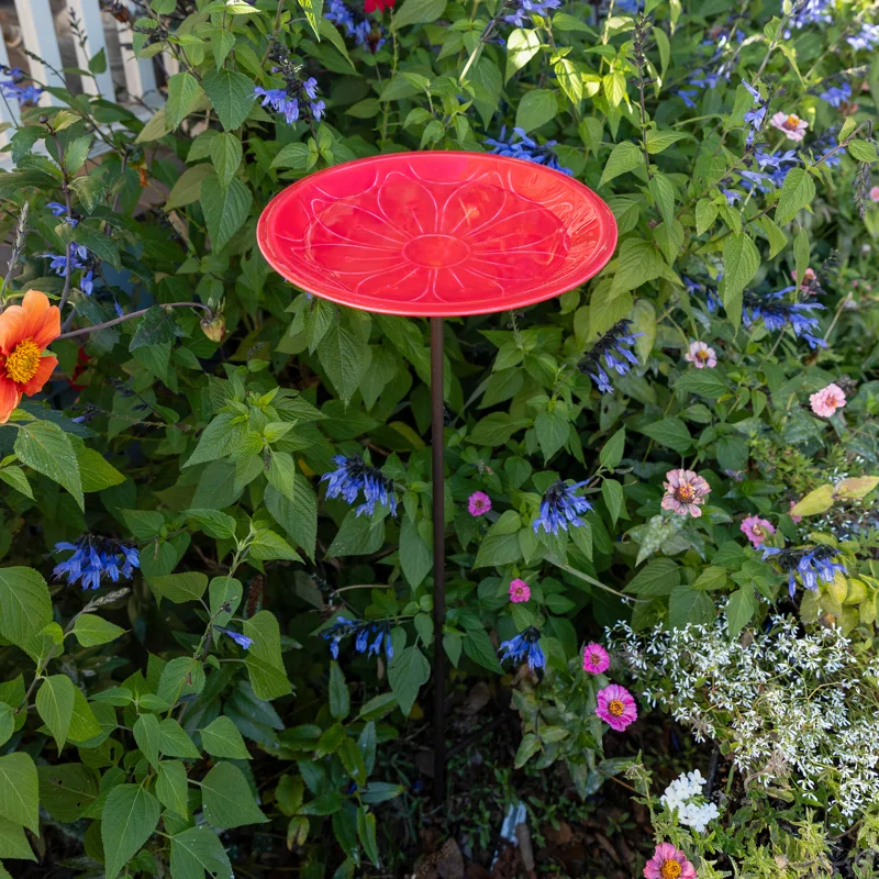 Achla Designs Lolly Metal Stake Birdbath