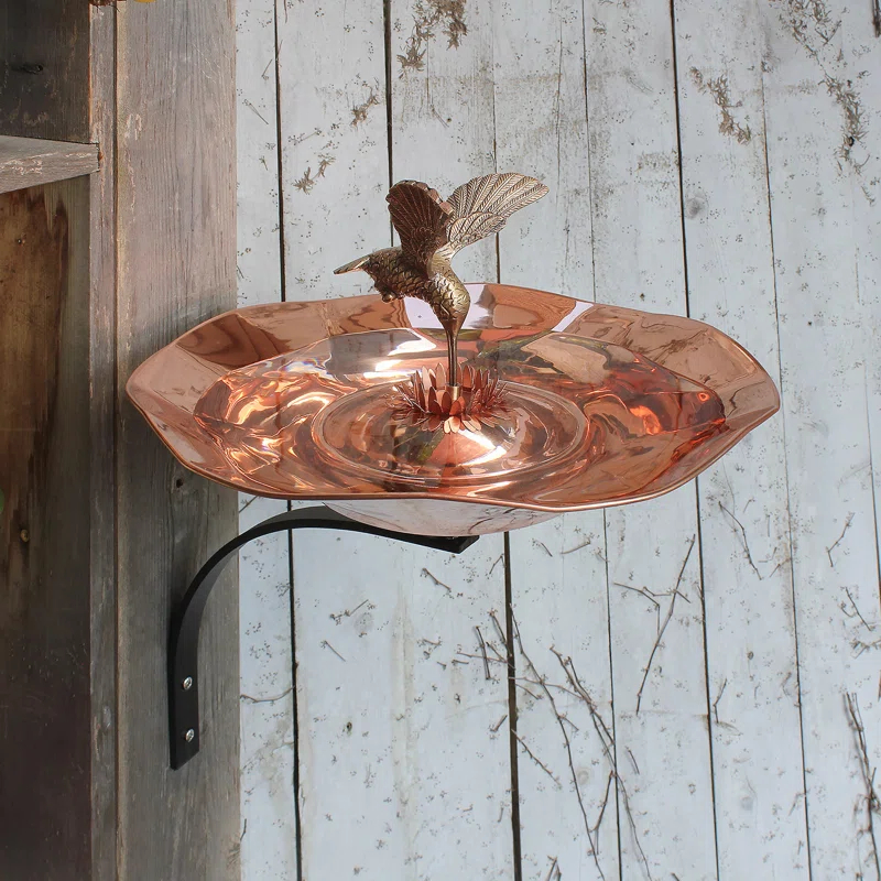Ophelia & Co. Hummingbird Birdbath with Wall Mount Bracket