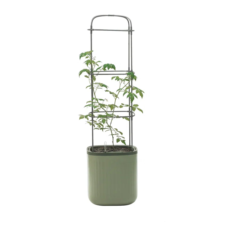 Vego Garden Mini Tomato Plastic Outdoor Pot Planter with Trellis