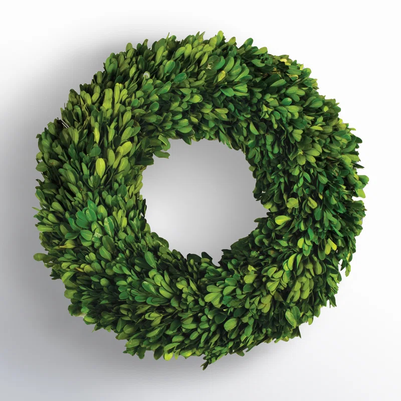 Birch Lane™ Alby Preserved Boxwood Real Greenery Wreath