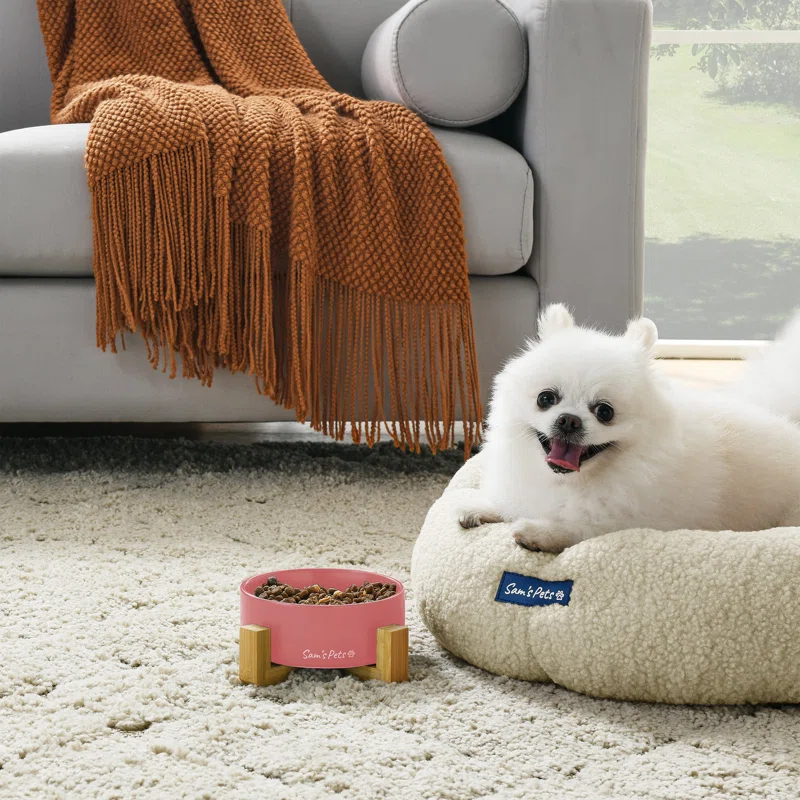 Coco Pet Bowl