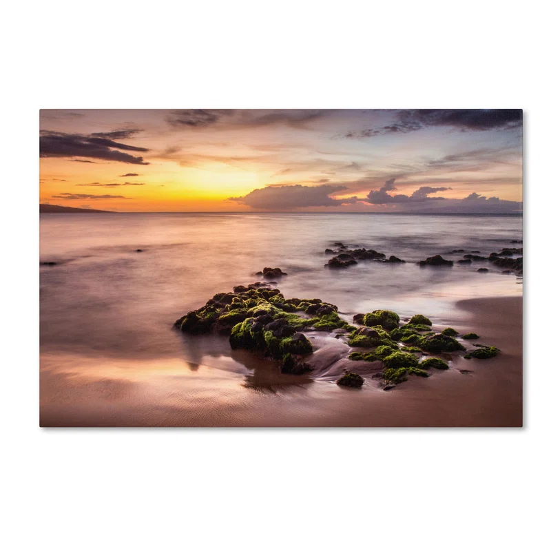 Highland Dunes Coastal