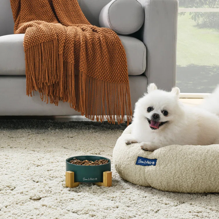 Sam's Pets Coco Pet Bowl