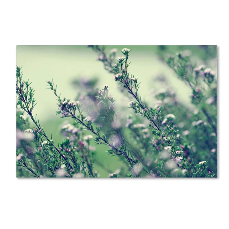 Trademark Fine Art " Memories Of Summer " by Beata Czyzowska Young
