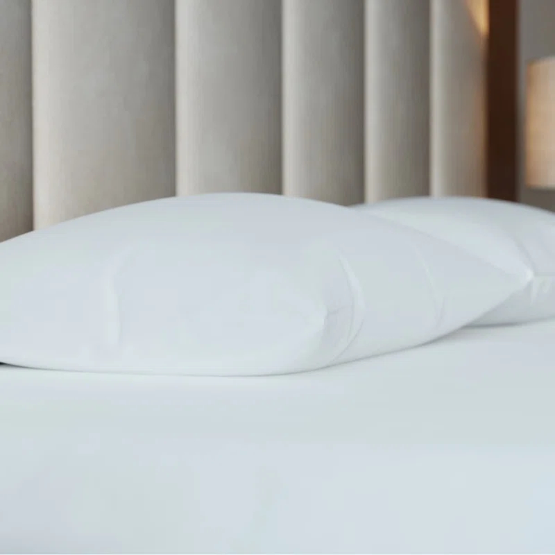Bargoose Home Textiles Pillow Protector