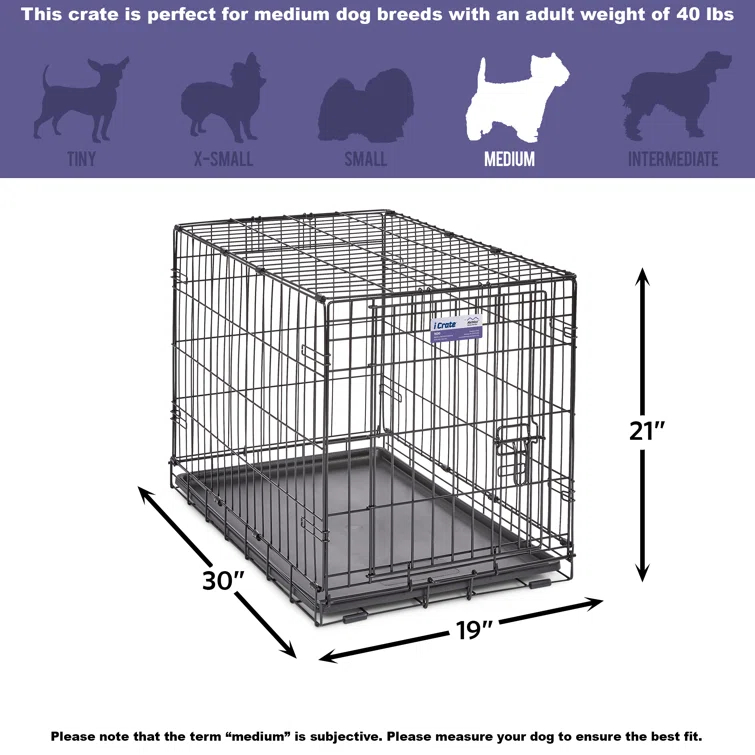 Midwest Homes For Pets MidWest Homes for Pets Newly Enhanced Single Door iCrate Dog Crate Includes Divider Panel
