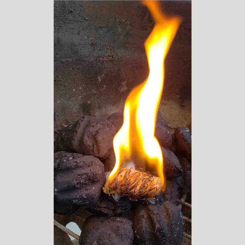 BBQ Dragon Wood Non-Stick Charcoal Starters (Set of 50)