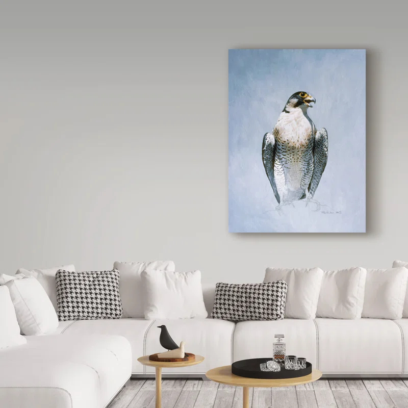 Trademark Fine Art Ron Parker " Peregrine Falcon " by Ron Parker