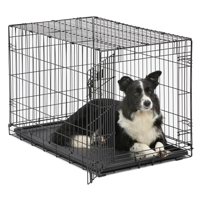 Midwest Homes For Pets MidWest Homes for Pets Newly Enhanced Single Door iCrate Dog Crate Includes Divider Panel