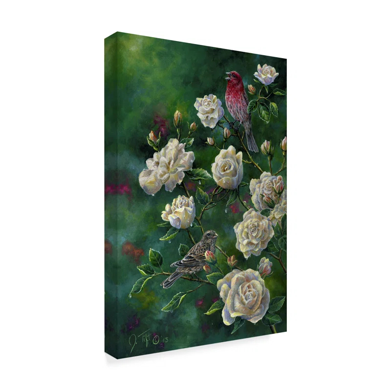 Trademark Fine Art Jeff Tift " Purple Finch " by Jeff Tift