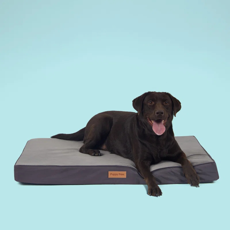 Puppy Paw Orthopedic Polyester Pet Bed