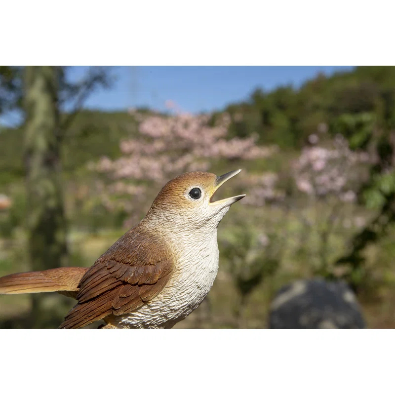 Hi-Line Gift Ltd. Motion Activated Singing Nightingale Standing on Stump