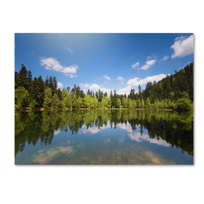 Trademark Fine Art "Lake Maix" by Philippe Sainte-Laudy Photographic Print on Wrapped Canvas
