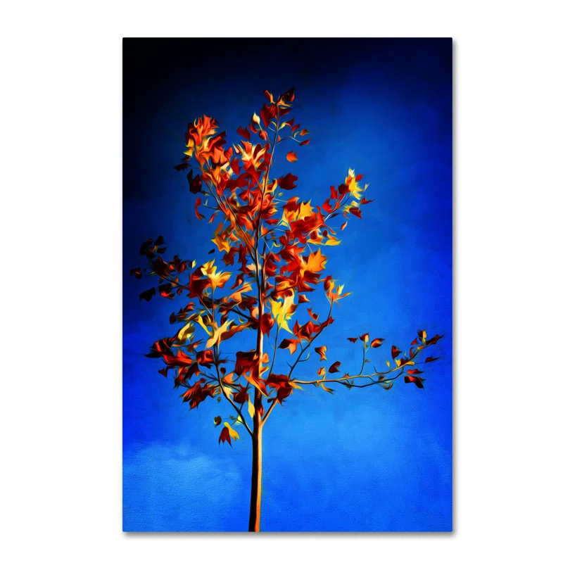 Trademark Fine Art Philippe Sainte-Laudy " In The Autumn Wind " by Philippe Sainte-Laudy