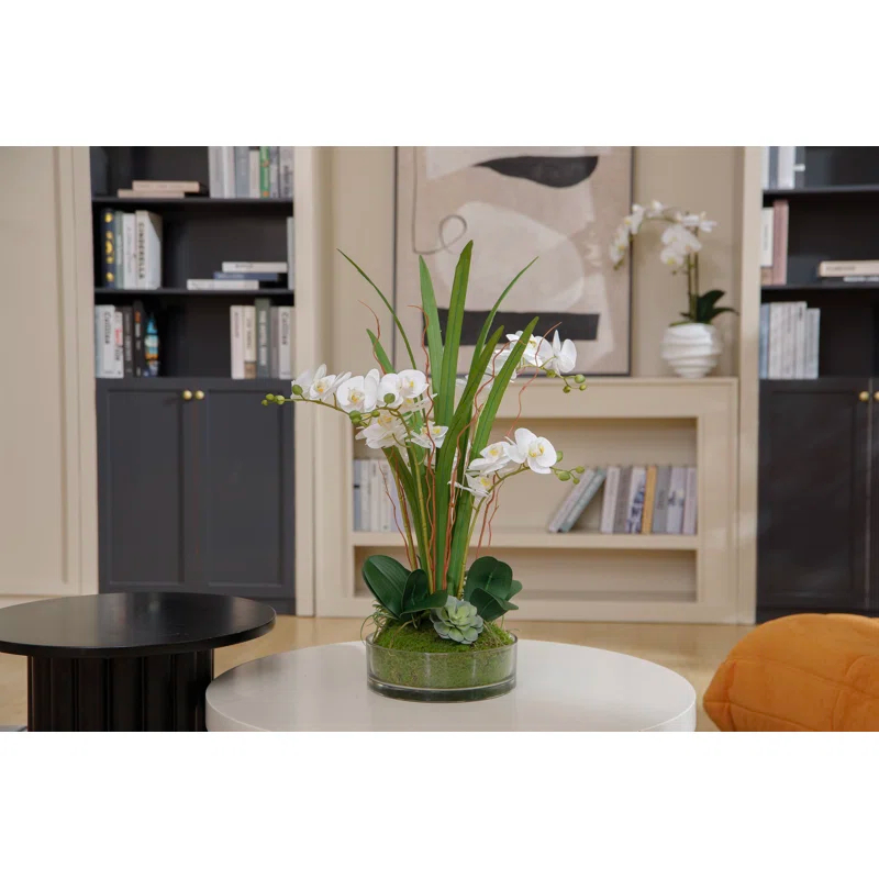 Fiori Sempre 29.5" White Orchid Arrangement in a Glass Vase| Real Touch White Moth Phalaenopsis Orchids by Fiori Sempre