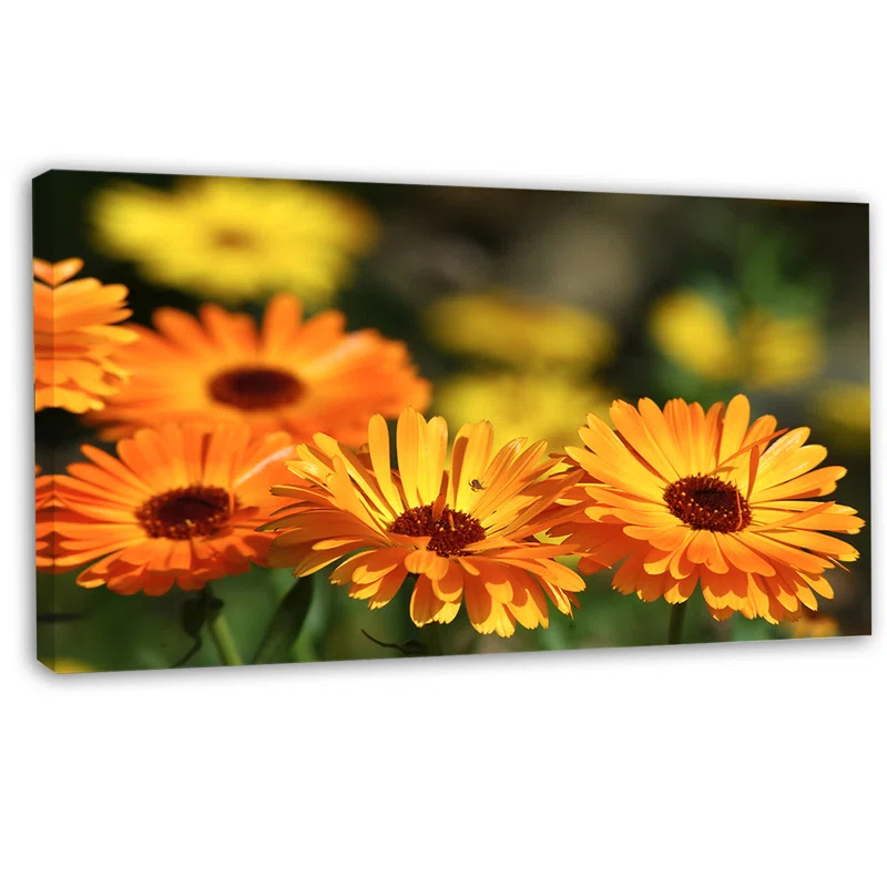 Design Art " Blooming Orange Marigold Flowers "