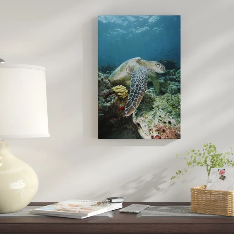 East Urban Home " Green Sea Turtle On Coral Reef, Endangered, Sipadan Island, Celebes Sea, Borneo "