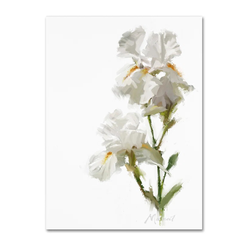 Trademark Fine Art The Macneil Studio " White Iris " by The Macneil Studio