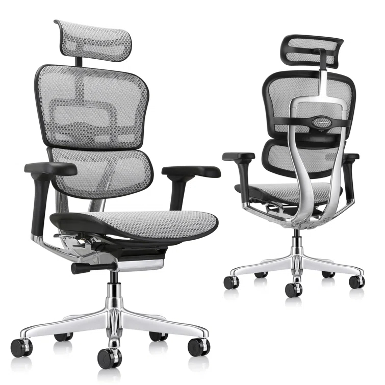 Eurotech Seating Ergohuman Executive Chair with Headrest