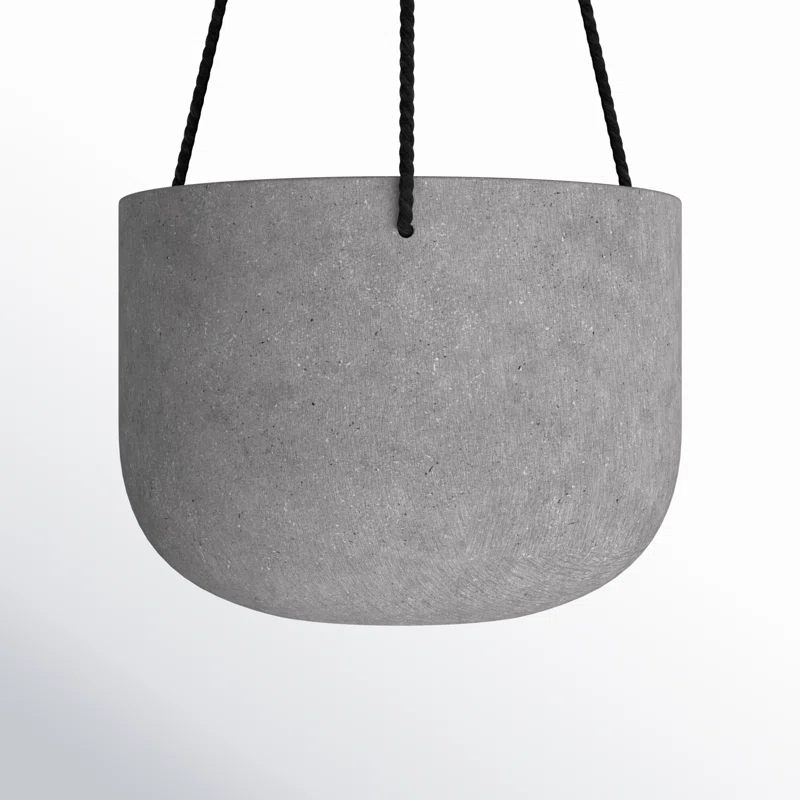 AllModern McGrath Hanging Planter
