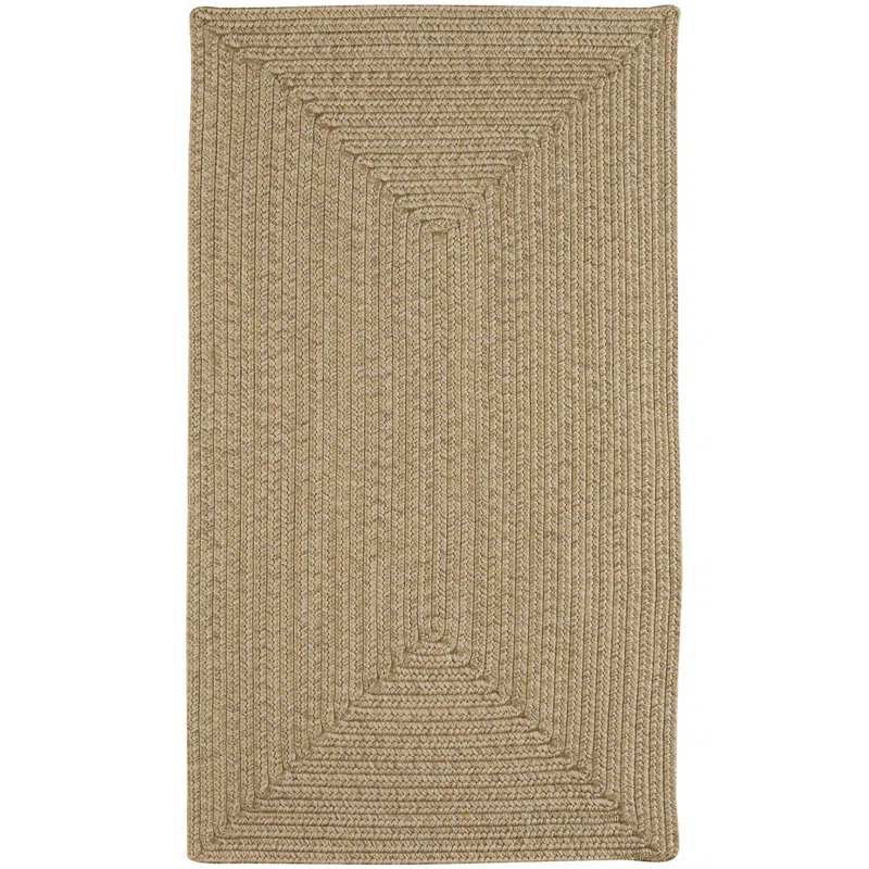 Highland Dunes Coronado Braided Tan Area Rug