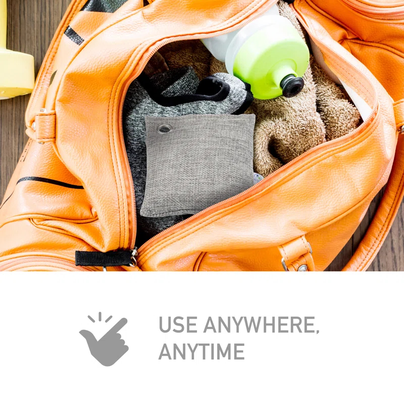 Guardian Technologies PureGuardian Air Purifying Bamboo Charcoal Bags, Eco-Friendly Natural Odor Reducer | Wayfair