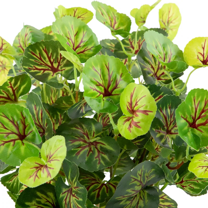 Northlight Seasonal 15" Two Toned Green Begonia Artificial Floral Bush