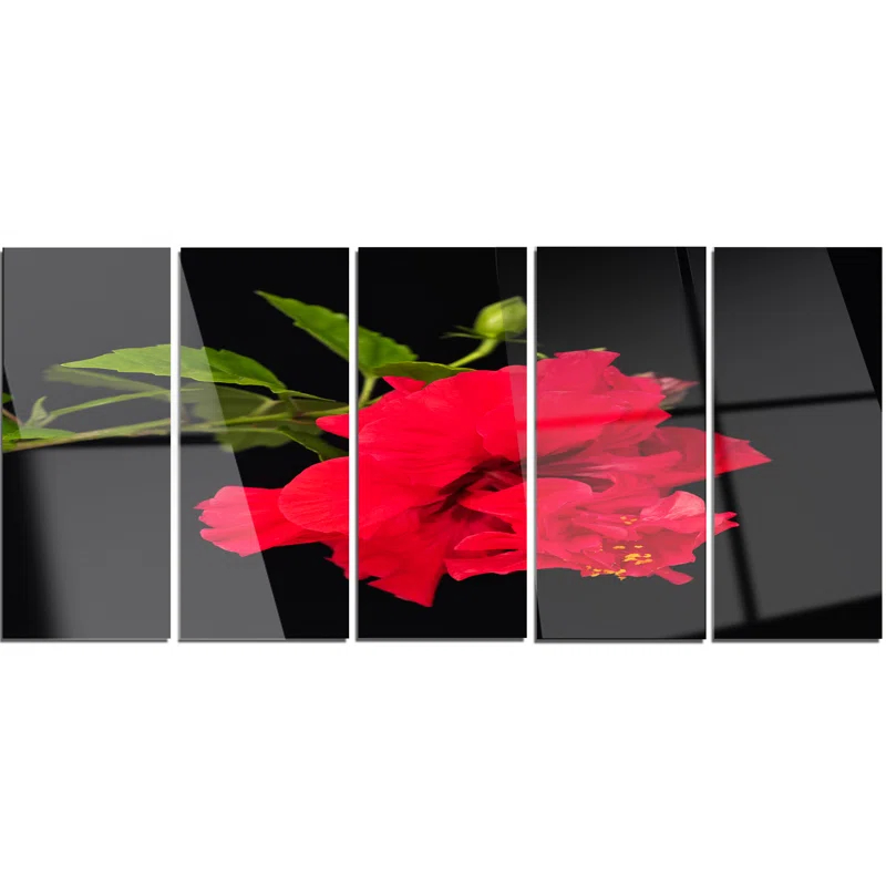 Design Art " Bright Red Hibiscus On Black " 5 - Pieces