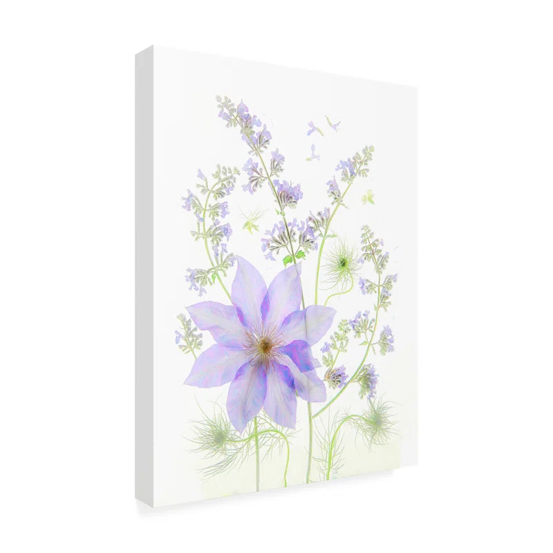 Trademark Fine Art " Purple Clematis "