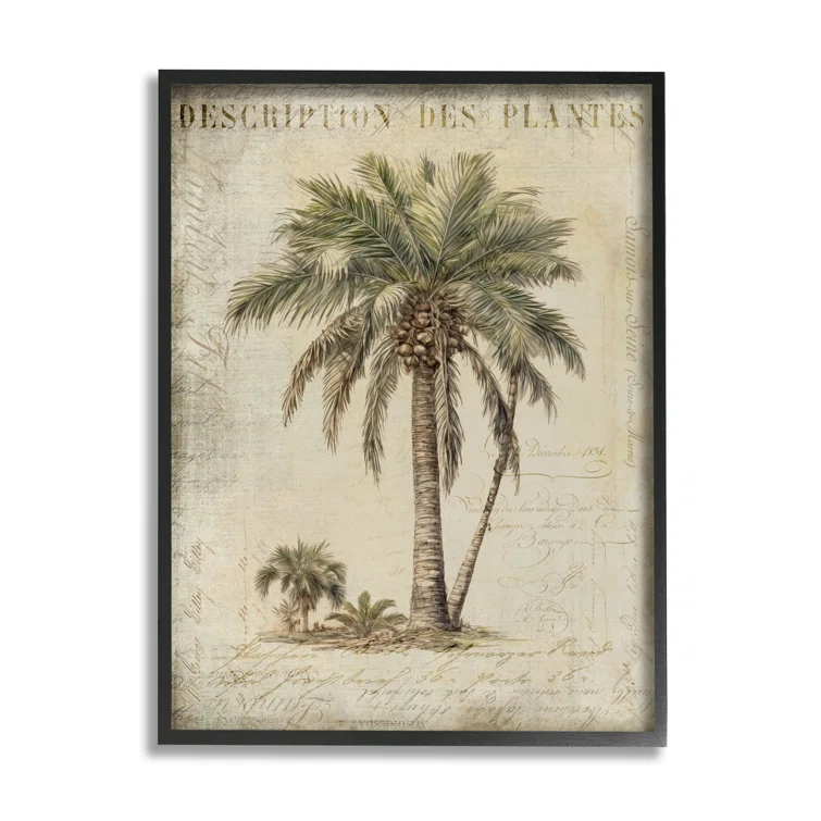 Stupell Industries Ba-008-Framed " Vintage Palm Tree Study " by Andrea Haase
