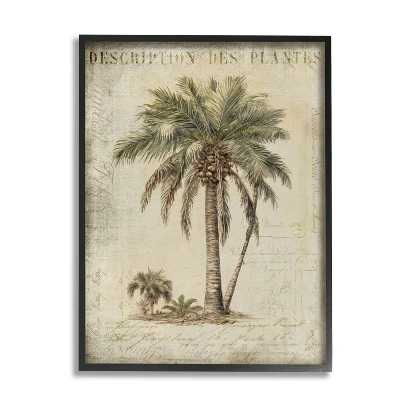Stupell Industries Ba-008-Framed " Vintage Palm Tree Study " by Andrea Haase