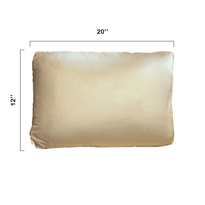 Throw Pillow (Set of 2)