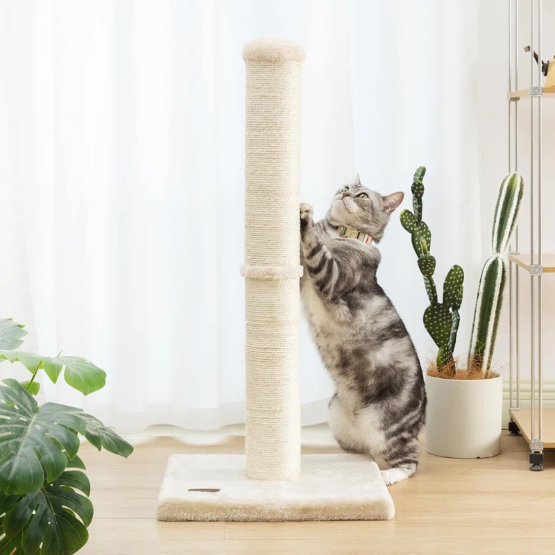 Tucker Murphy Pet™ 34Inch Cat Scratching Post With Natural Sisal Rope 4.3Inch Large Diameter Scratcher Post Tree For Indoor Cats