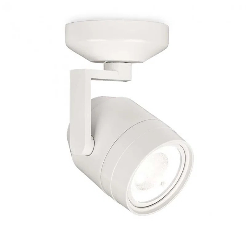 Paloma Glass LED Spotlight