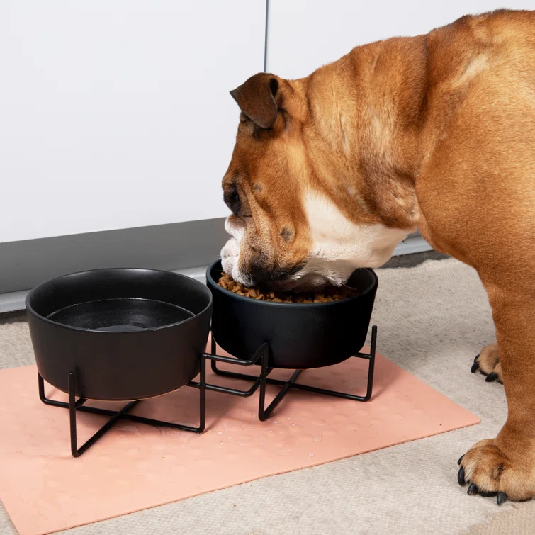 Waggo Elevated Feeder