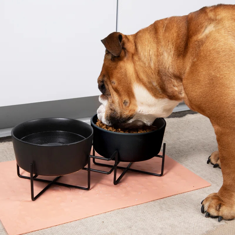 Waggo Elevated Feeder