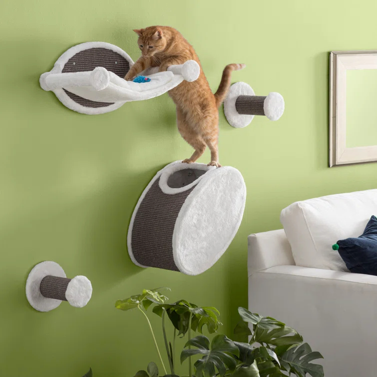 TRIXIE Wall Mounted Cat Lounge Set, Hammock and Condo with Two Steps, Cat Furniture, Scratching Post & Reviews | Wayfair