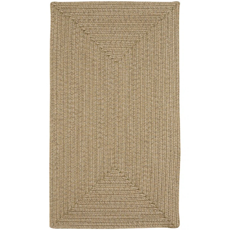 Highland Dunes Coronado Braided Tan Area Rug