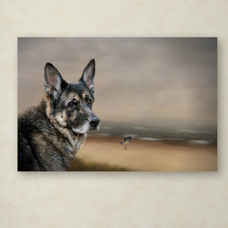 Trademark Fine Art Jai Johnson " German Shepherd Dreaming Of The Beach " by Jai Johnson