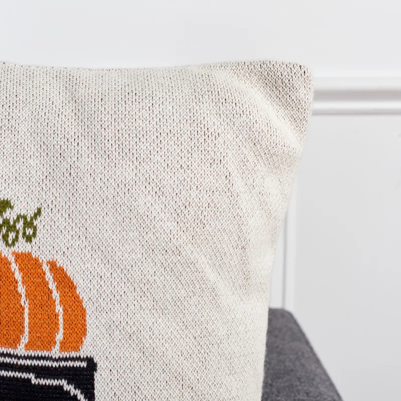 Safavieh Cotton Reversible Throw Pillow