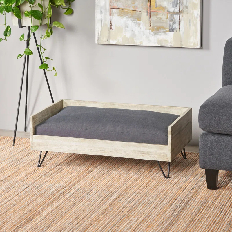 Tucker Murphy Pet™ Kaylor Mid Century Modern Dog Sofa