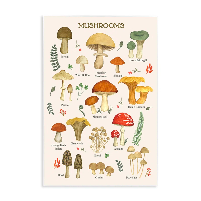 Stupell Industries Ax-141-Wood " Foraging Mushrooms Studies " by Sharon Lee