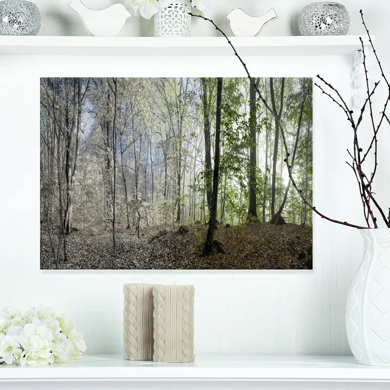 " Green Morning In Forest Panorama "