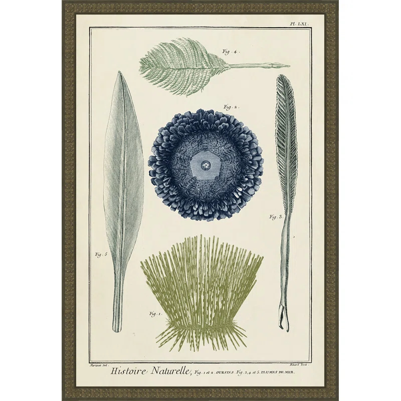 Highland Dunes " Ocean Oddity II "